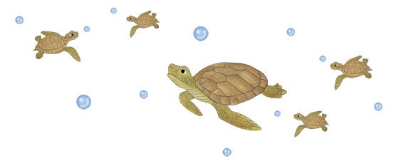 Sea Turtle Wall Decals - Turtle Murals